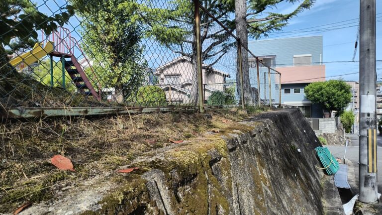 公園と住宅の前にある擁壁に広がる苔